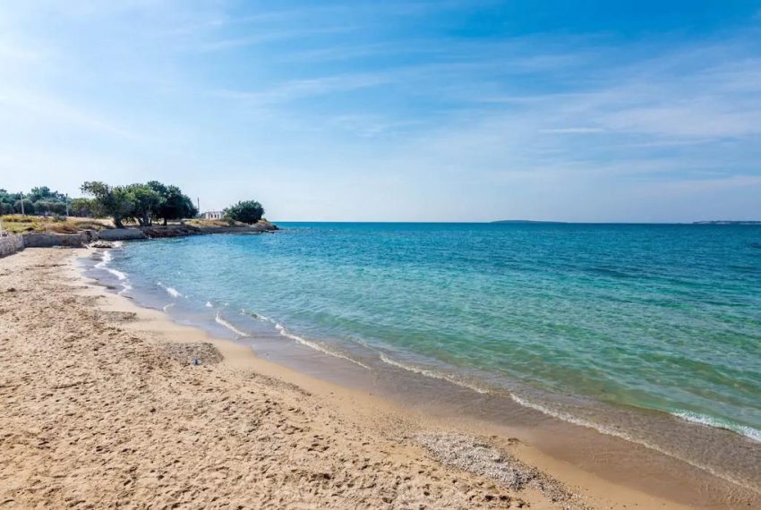 WhatsApp Image 2023-07-03 at 16.34.42 (4)