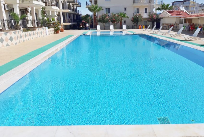 Sunflower-Complex-22