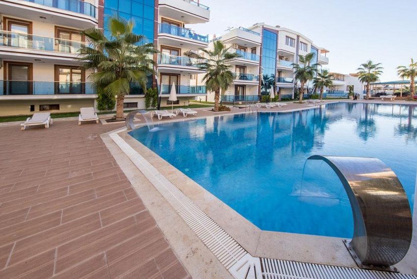 ca972e98-f0fe-4727-b1c7-88aee6e0288d