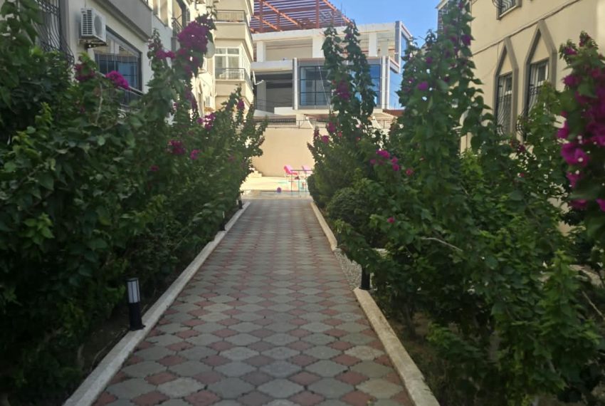 sunshinesitesi (21)